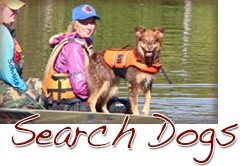 Search Dogs