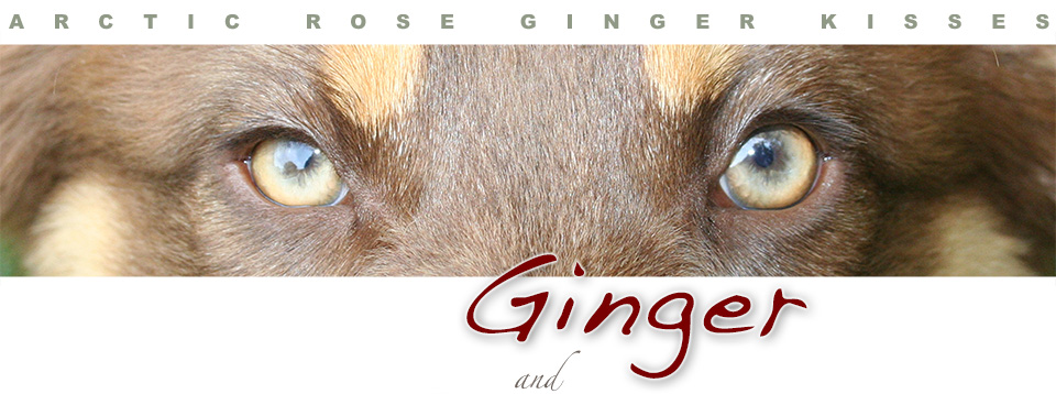 GInger's Site