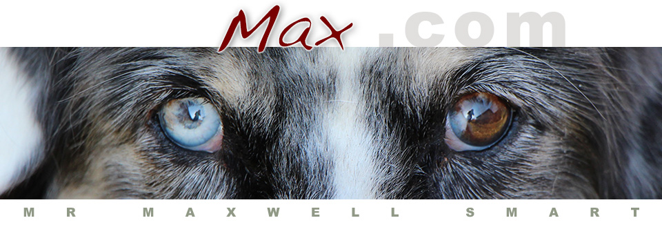 Max's Site