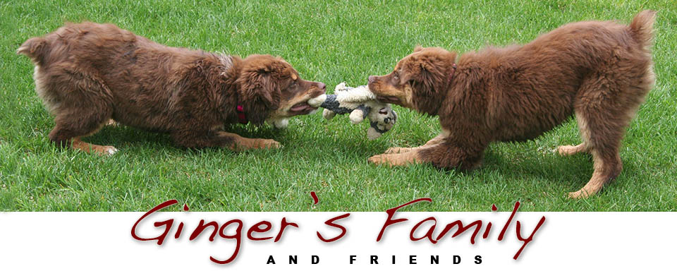Ginger's Family