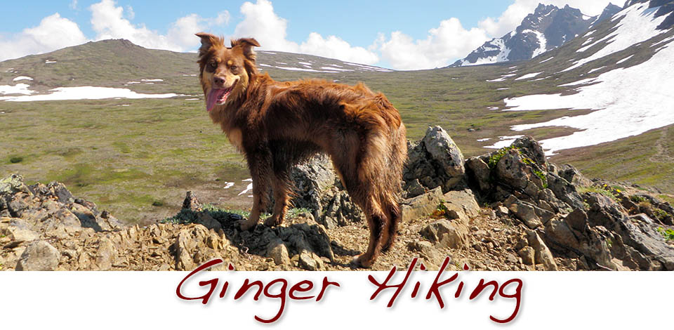 Ginger Hiking
