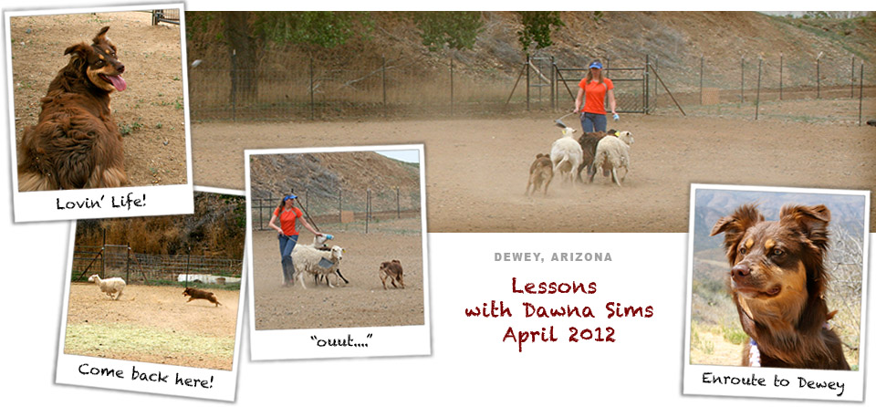 Lessons with Dawna in April 2012