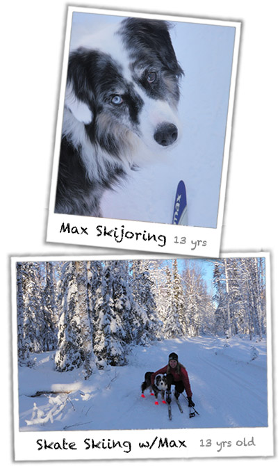 Max Skijoring